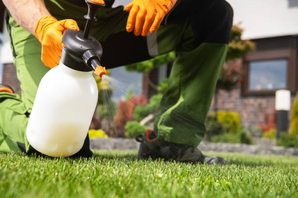 Best Insect Control  in Cleves, OH