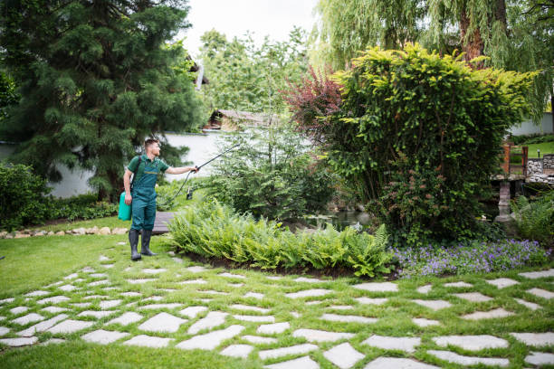 Best Emergency Pest Control  in Cleves, OH