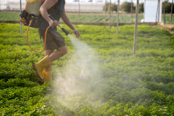 Best Local Pest Control Services  in Cleves, OH