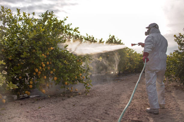 Best Pest Control for Businesses  in Cleves, OH