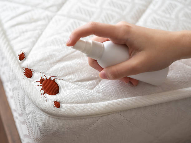 Best Affordable Pest Control Services  in Cleves, OH