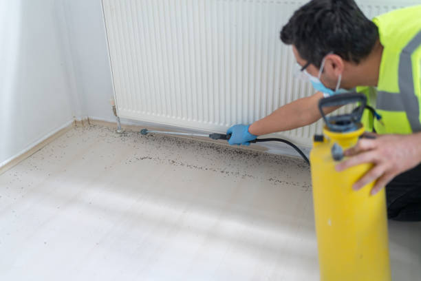 Reliable Cleves, OH Pest Control Solutions
