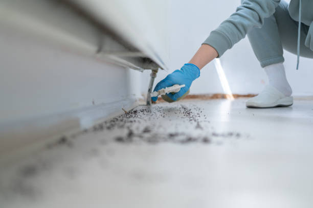 Best Pest Control Treatment  in Cleves, OH