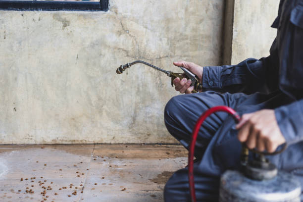 Best Wasp Removal Services  in Cleves, OH